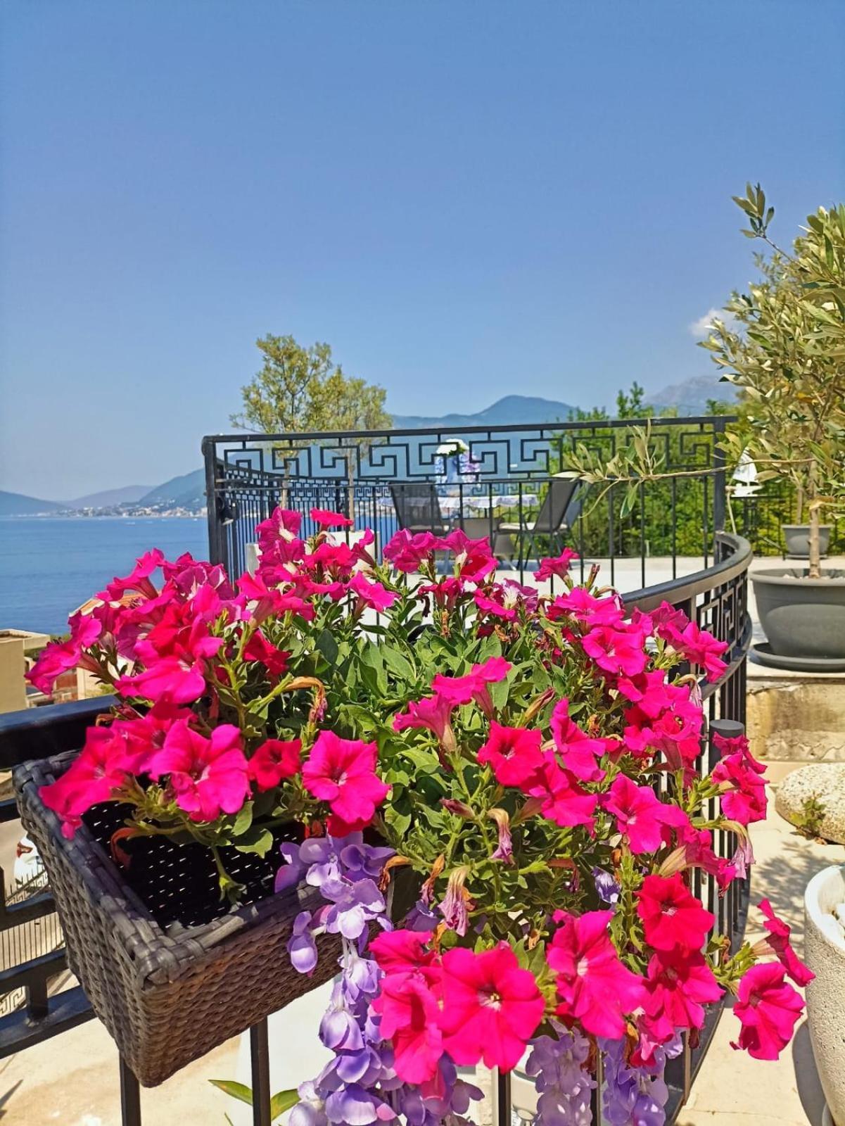 Panoramic Тиват